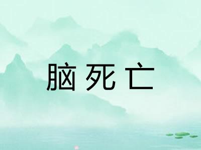 脑死亡 脑死亡