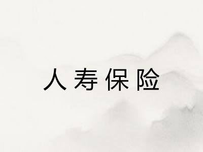 人寿保险 人寿保险