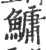 鱅(印刷字体·宋·广韵)